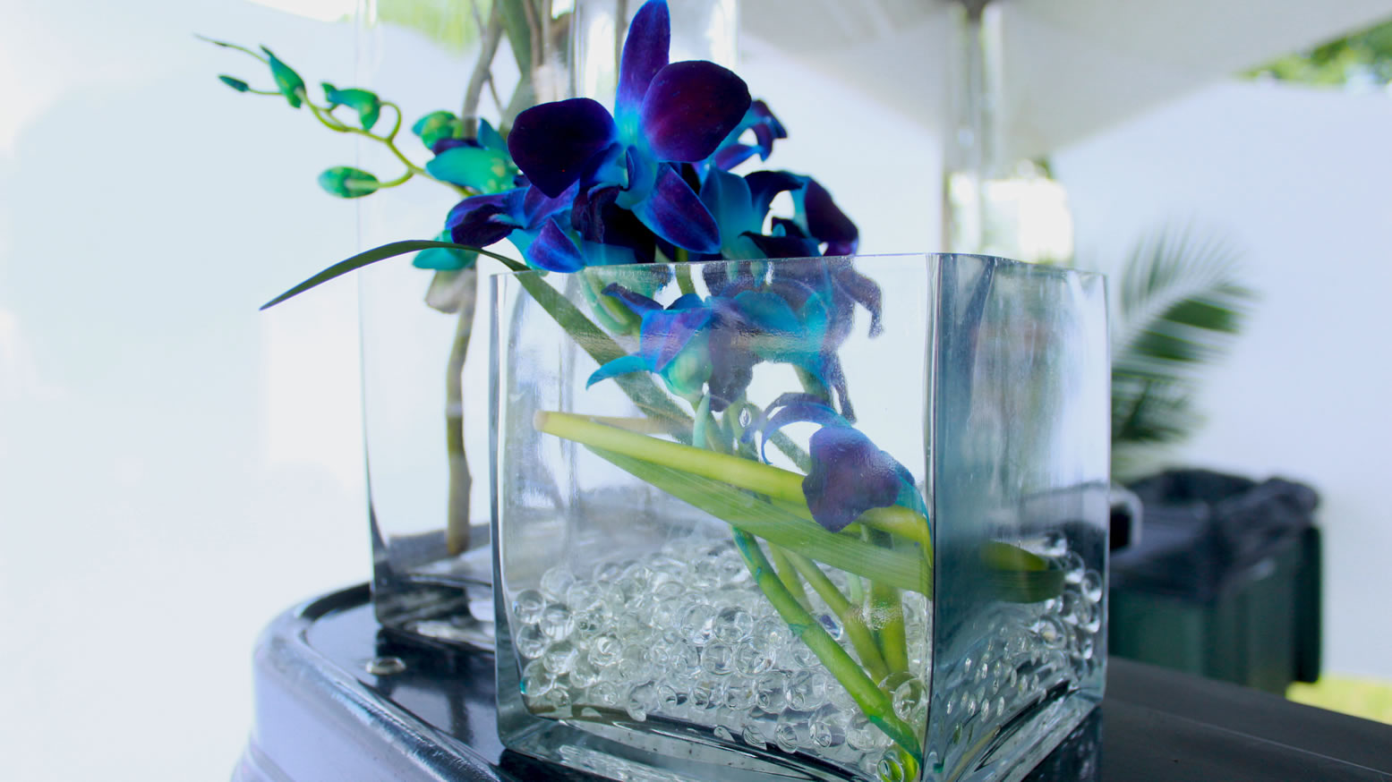 blue orchids in a vase with green foliage on black counter eccessories by ellen www.eccessoriesbyellen.com